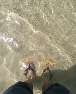 Low section of man standing in sea