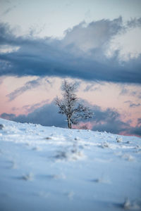 Snow covered field against sky