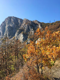 Scenic view of mountains against clear sky