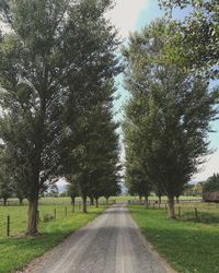 Road amidst trees against sky