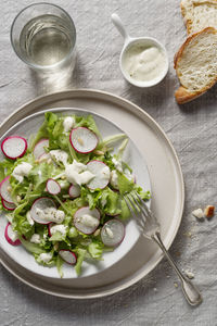 Summer itaian salas with lettuce, radishes, and sauce in a plate.