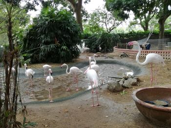 Birds perching on a lake