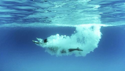 Fish swimming in sea