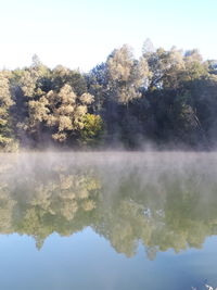 Reflection of trees in lake against sky