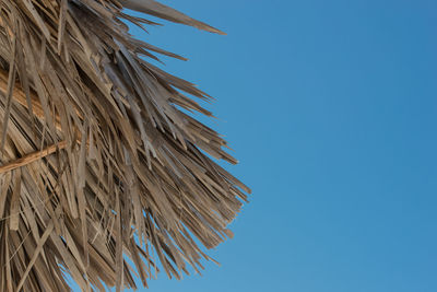 White sand and turquoise water on the caribbean beach on cuba varadero