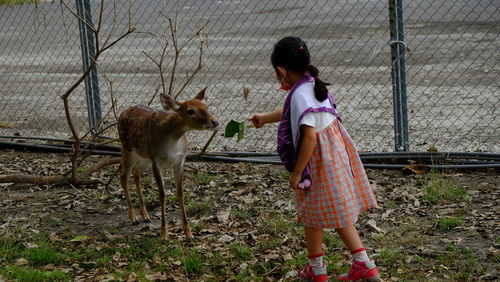 Side view of woman with goat on field