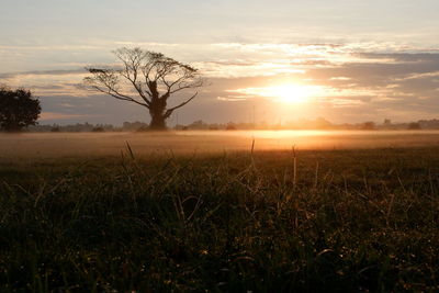 Scenic view of field against sky during sunset