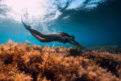 Low section of woman swimming in sea