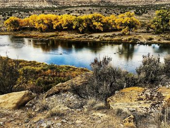 Scenic view of lake by trees during autumn