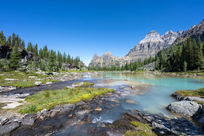 Scenic view of lake against clear blue sky