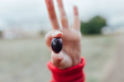 Cropped hand holding black olive outdoors