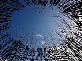 Low angle view of bare tree against blue sky 