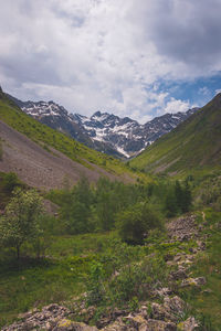mountain