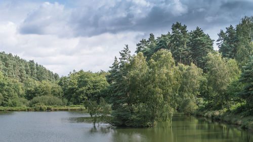 Scenic view of lake in forest against sky