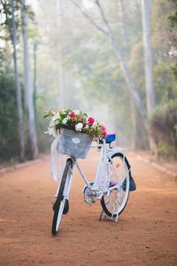 View of flower bouquet against trees in forest