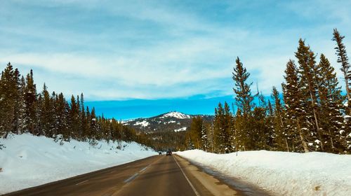 Snow covered road amidst trees against sky