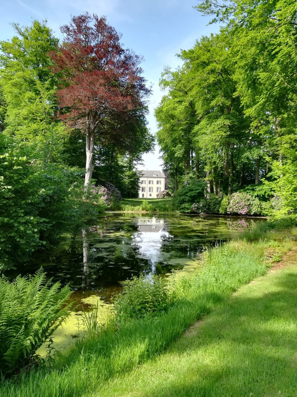 CANAL AMIDST TREES