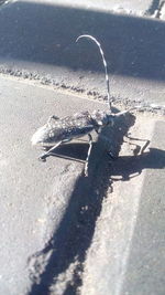 High angle view of shadow on sand