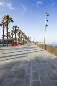 Road by palm trees against sky in city