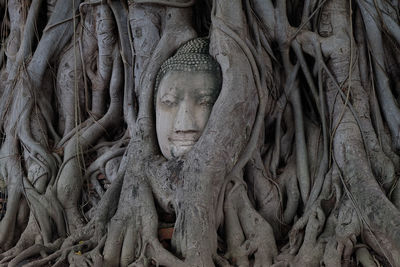 Sculpture of buddha statue