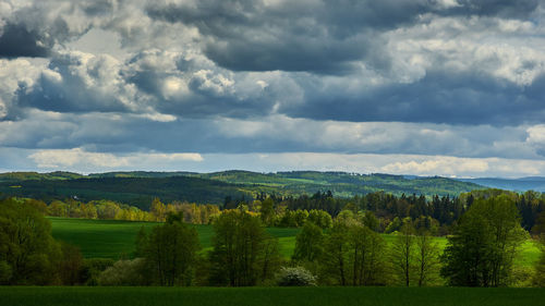 Trees on field against sky