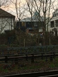 Railroad tracks by bare trees and buildings