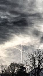 Low angle view of trees against sky