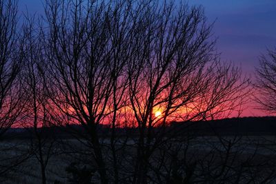 Low angle view of bare trees against sky