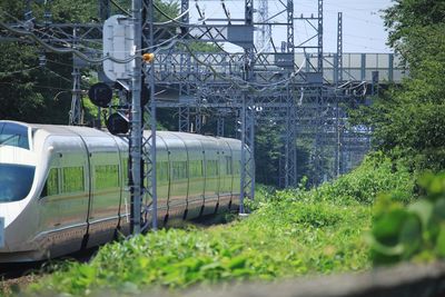 Train on railroad track