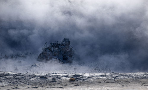 Scenic view of tree against sky