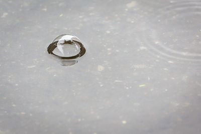 Full frame shot of puddle