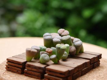 Close-up of vegetables on table