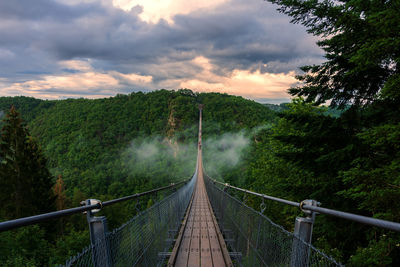 Bridge over trees against sky