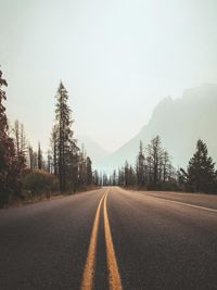 Surface level of road by trees against sky