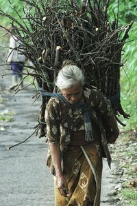 Woman carrying logs on footpath