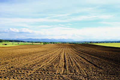 Scenic view of agricultural field against sky