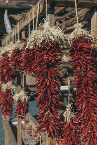 Close-up of peppers hanging at market