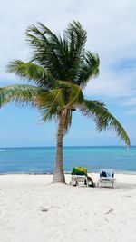 Palm tree on beach against sky