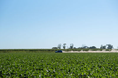 Rally car going fast at the distance