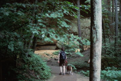 Woman with dog walking on road amidst trees in forest