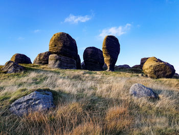 Low angle view of rocks on field against sky
