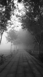 Empty footpath in park against sky