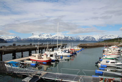 Boats moored on sea against sky