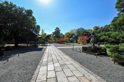 Footpath amidst trees in park during sunny day