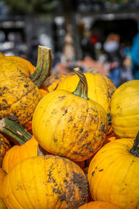 Close-up of pumpkins for sale at market stall