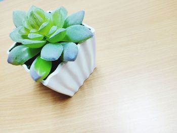 High angle view of ice cream on table