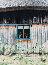Graffiti on wall of old building