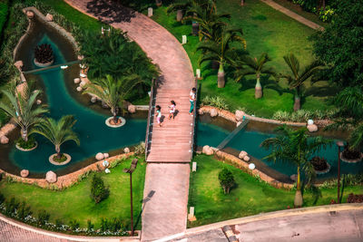 High angle view of palm trees by swimming pool