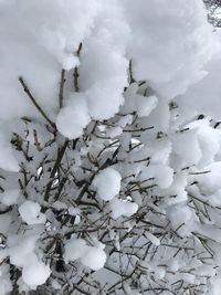 Close-up of snow on mountain against sky