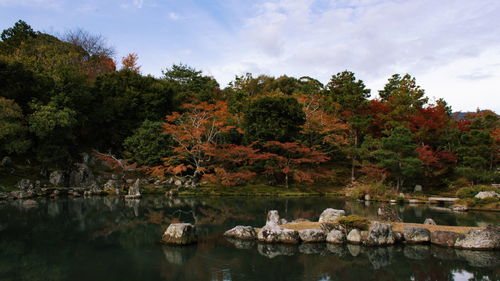 Scenic view of lake during autumn